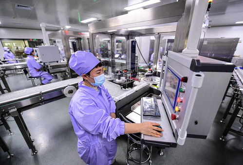 奮進(jìn)新征程 建功新時(shí)代 偉大變革丨遼沈“智”變 軟件服務(wù)的創(chuàng)新引擎驅(qū)動區(qū)域經(jīng)濟(jì)新跨越