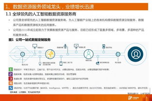 海天瑞聲 人工智能時(shí)代的數(shù)據(jù)基石與軟件服務(wù)先鋒